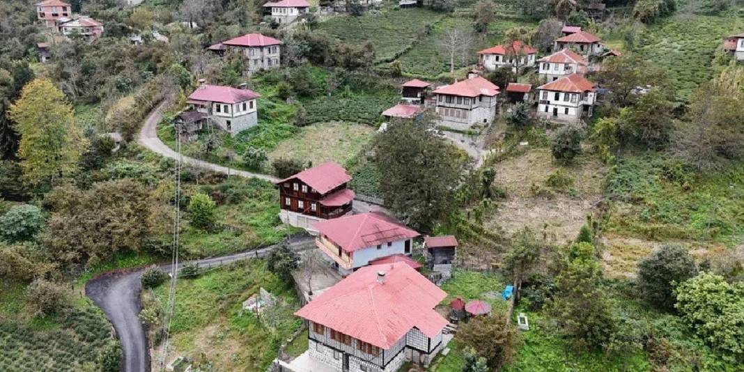 Her köşesinde doğallık taşıyor! En fazla tescilli yapı burada bulunuyor: Türkiye’nin ziyaretçi akınına uğrayan Arılı Köyü 1